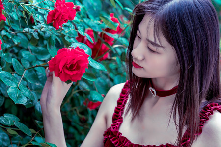 北京市第十五届精品盆景展开幕 “景山消夏夜”将开启